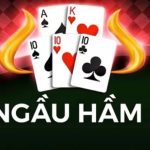 Định nghĩa bài ngầu hầm